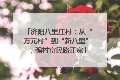 济阳八里庄村：从“万元村”到“新八里”，强村富民路正宽